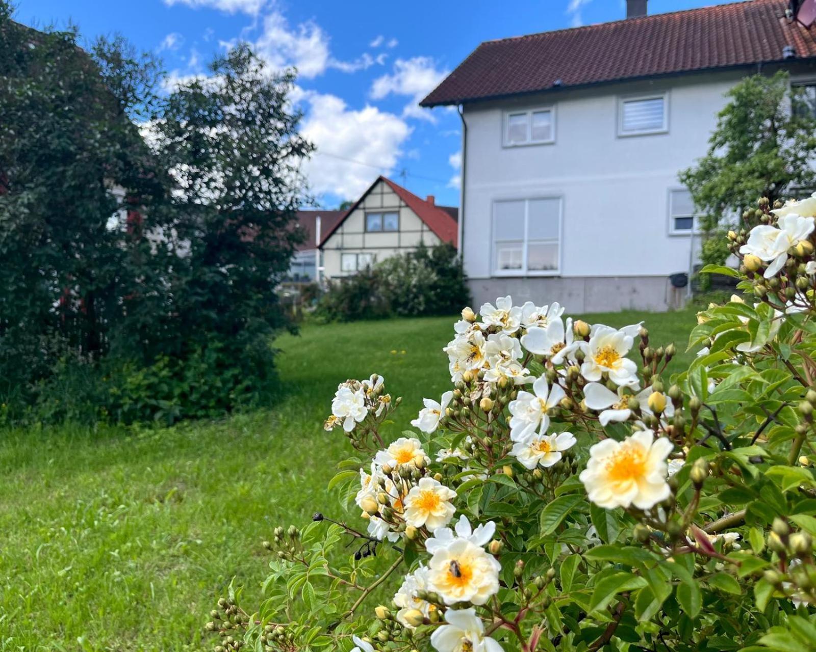 Ferienwohnung Am Hof Zwiefalten Exteriör bild